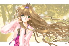 Misc-Autumn-wind