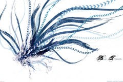 Misc-Blue-Threads