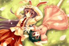 Misc-Bunnys
