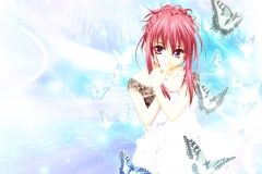 Misc-Butterflies-Shine