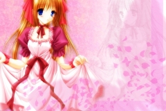 Misc-Cherry-Blossoms