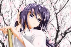 sakura
