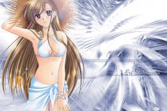 unknown64461
