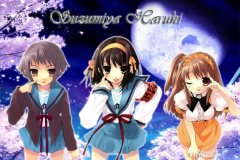 wallpaper-suzumiya-haruhi[1]